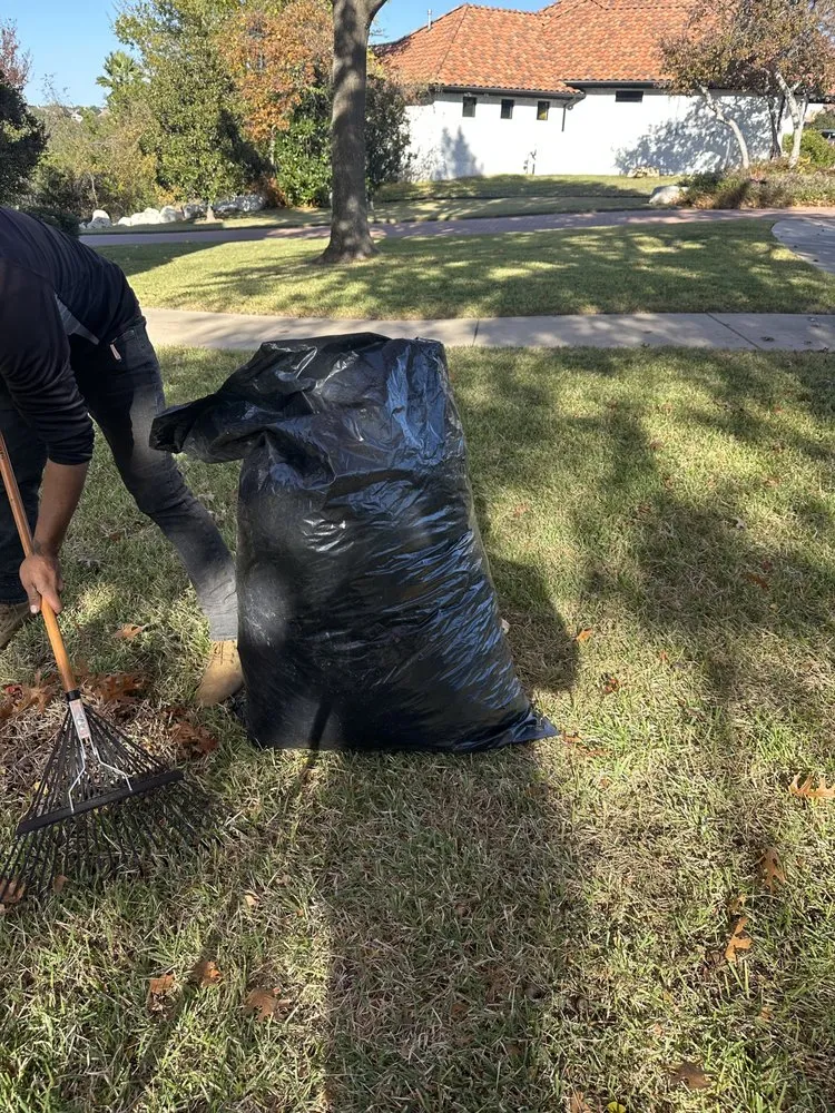 Affordable residential landscaping experts serving Austin, TX - Hugo Grass