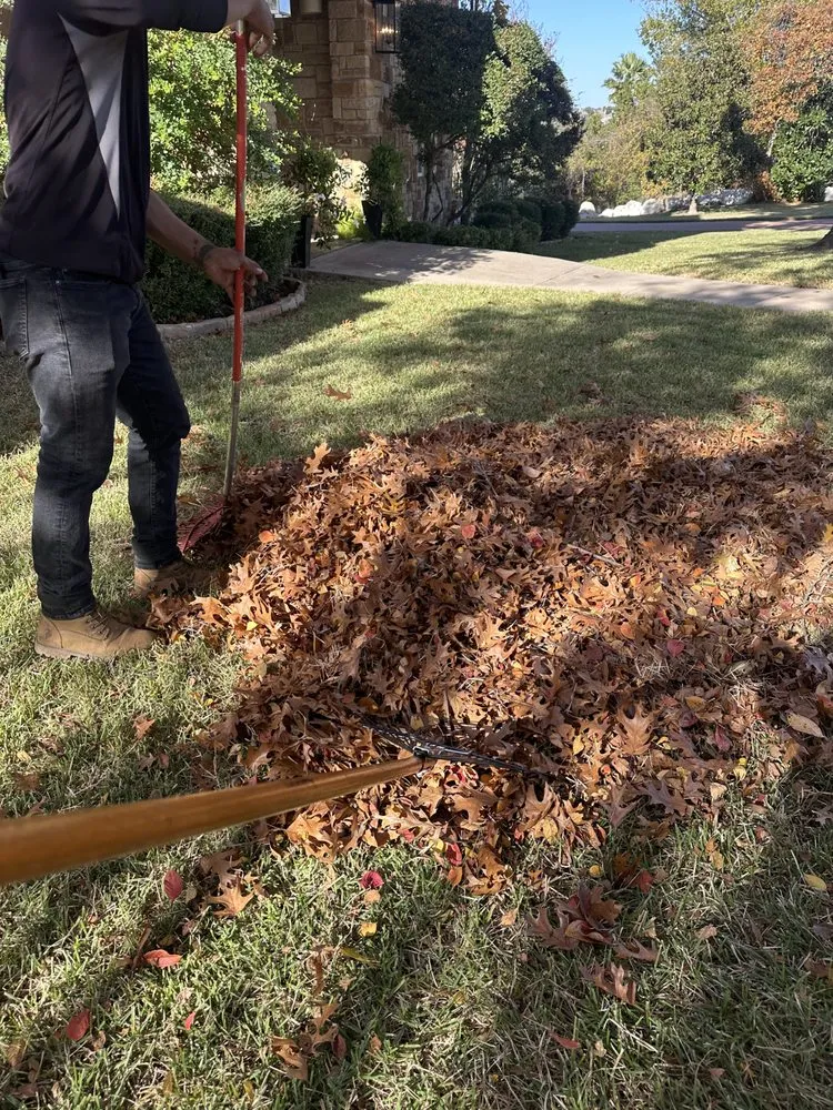 Trusted outdoor landscaping experts serving Austin, TX - Hugo Grass