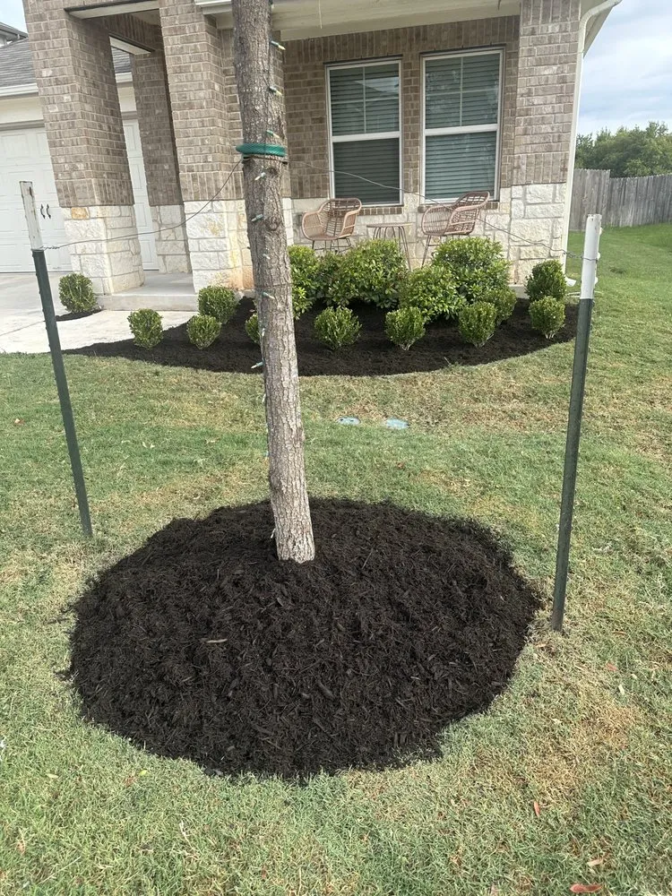 Professional outdoor landscaping for homes in Austin, TX by Hugo Grass