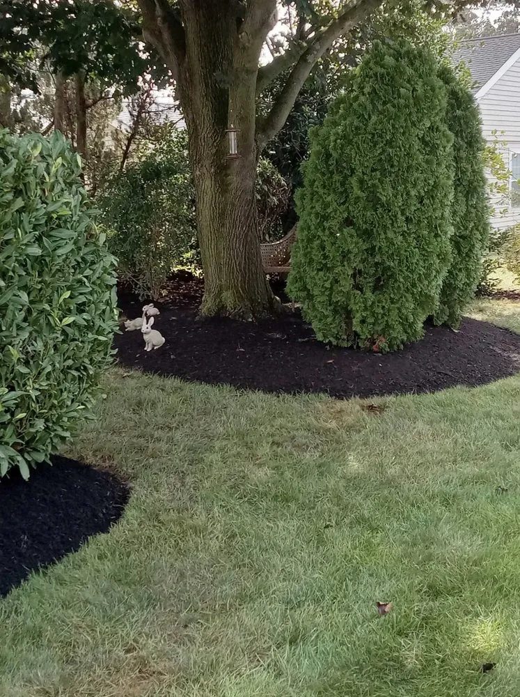 Expert yard cleanup service experts serving Tabernacle, NJ - Hugo Landscaping And Design