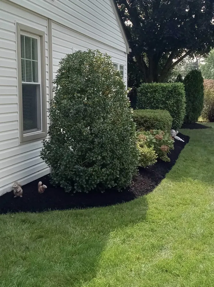 Reliable lawn mowing service near you across Tabernacle, NJ - Hugo Landscaping And Design