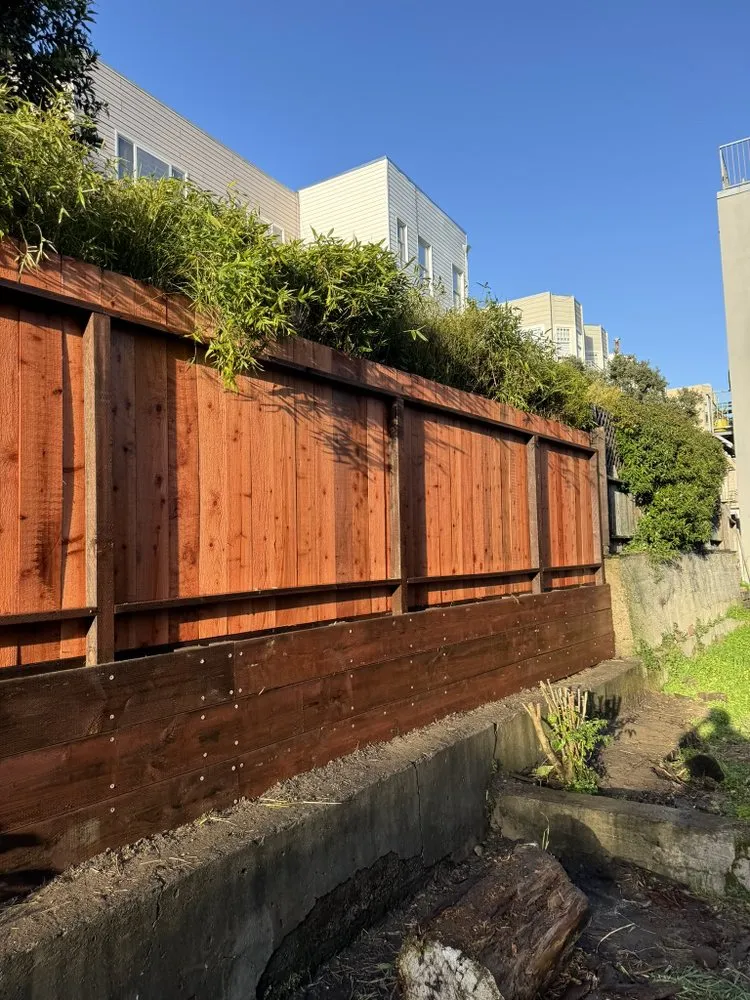 Professional lawn mowing service experts serving Richmond, CA - Hugo Lopez Landscaping