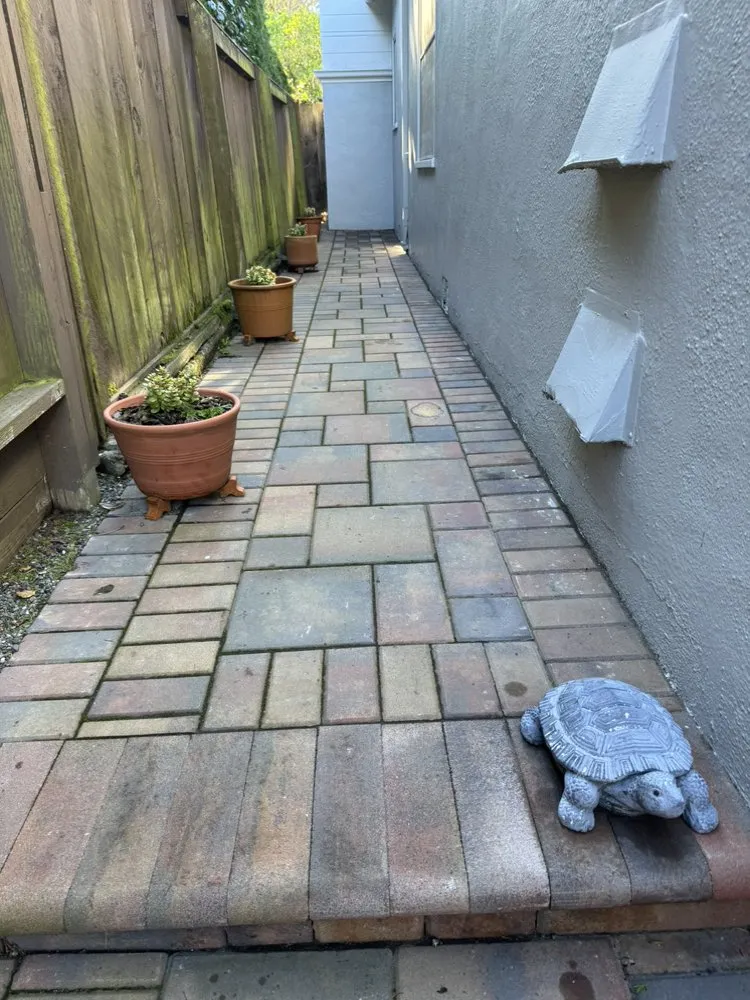 Affordable outdoor landscaping experts serving Richmond, CA - Hugo Lopez Landscaping