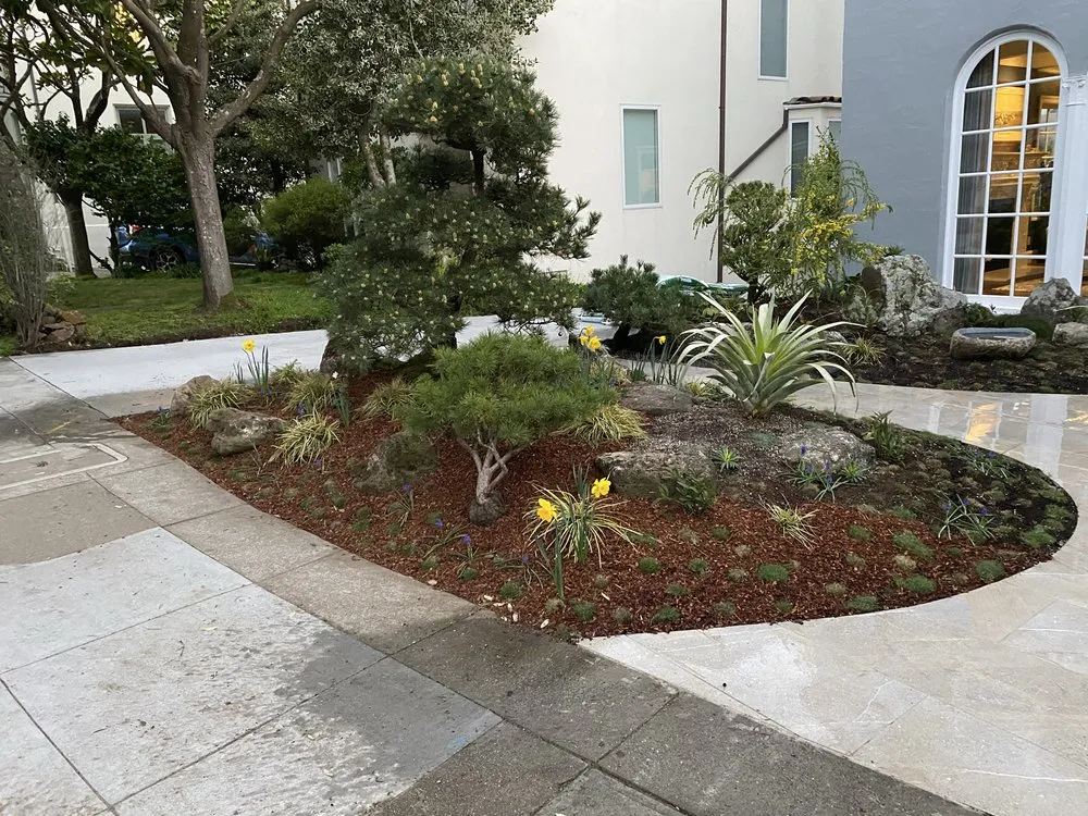 Trusted yard cleanup service in Richmond, CA by Hugo Lopez Landscaping