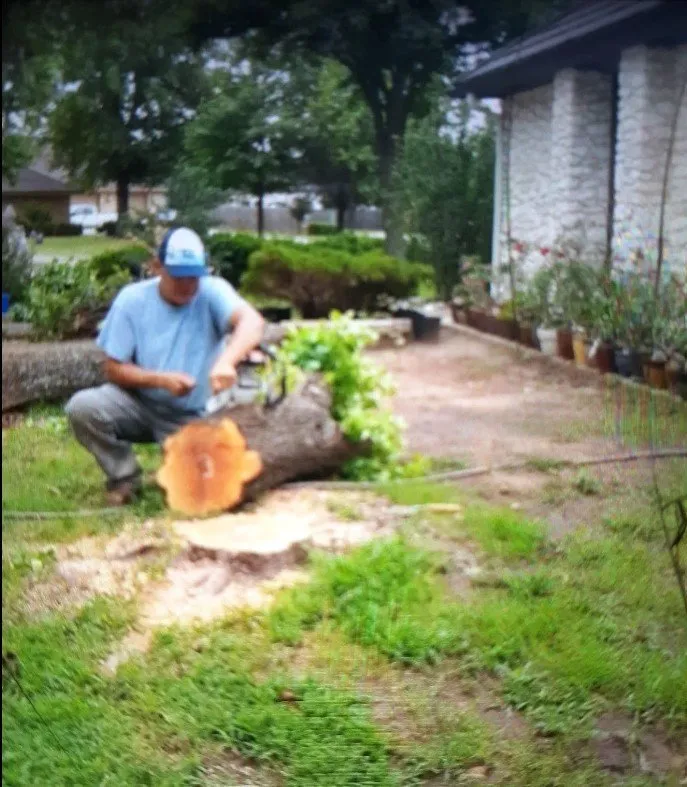 Professional lawn care service for year-round maintenance across Oklahoma City, OK - Hugo Martinez Lawn Care