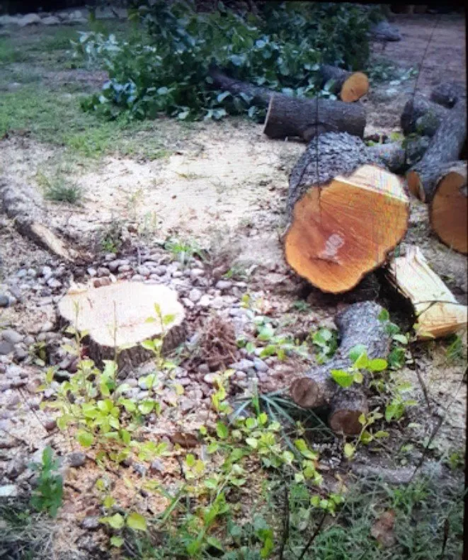 Custom landscape installation with custom design in Oklahoma City, OK by Hugo Martinez Lawn Care