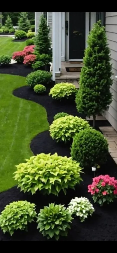 Expert yard maintenance experts serving Denton, TX - Hugo Perez