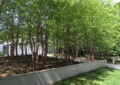 Custom yard cleanup service in Riverhead, NY by Hugo Rios Masonry & Landscaping