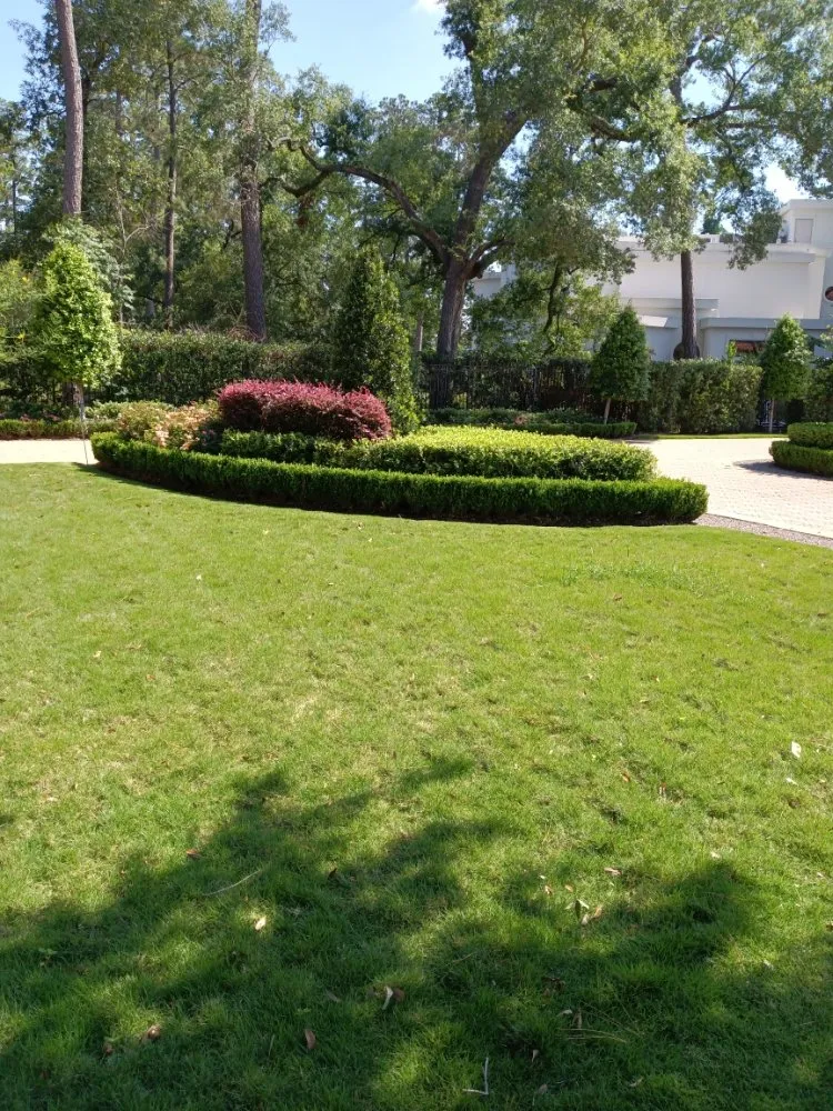 Affordable outdoor landscaping for beautiful yards in Houston, TX by Hugo Tovar Landscaping