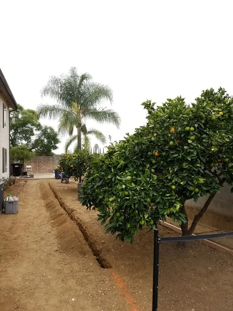 Expert residential landscaping in La Habra, CA - Hugo's Gardening