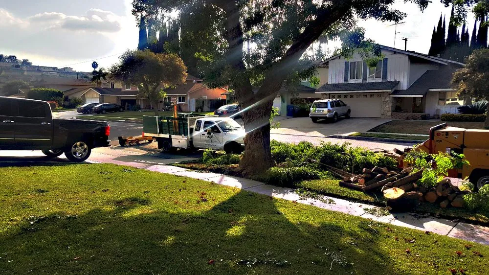 Professional landscape design for year-round maintenance in La Habra, CA by Hugo's Gardening