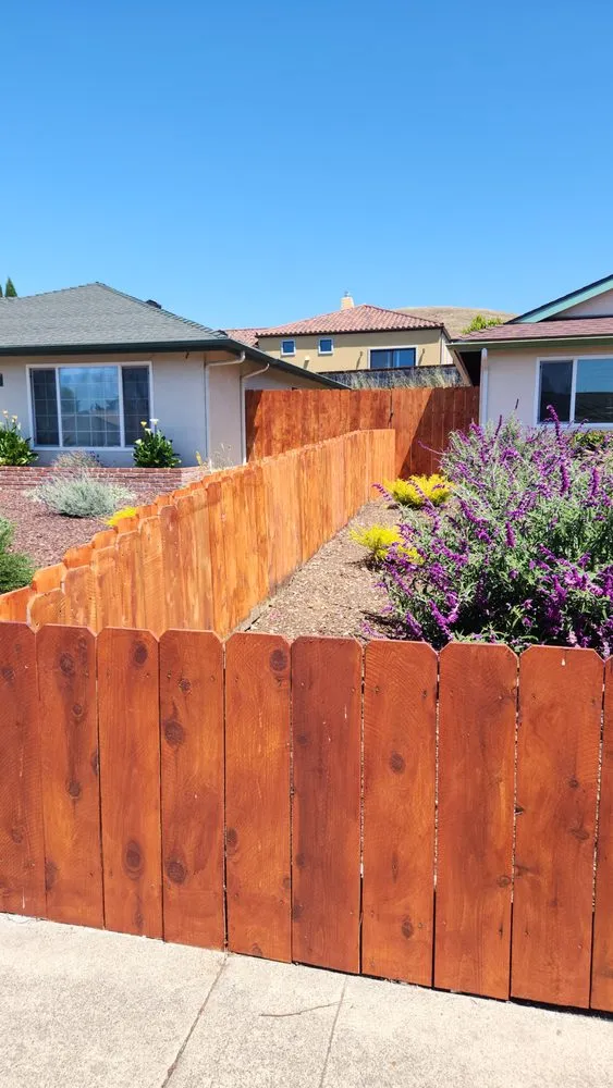 Local yard maintenance experts serving Arroyo Grande, CA - Hugo's Landscaping Care