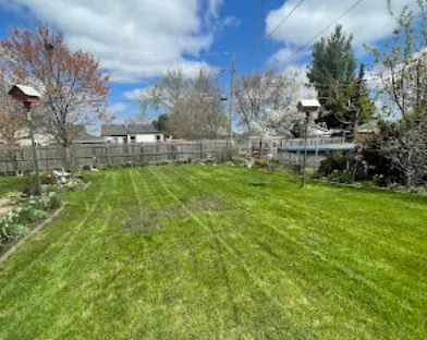 Affordable yard cleanup service in Northlake, IL by Hugo's Landscaping