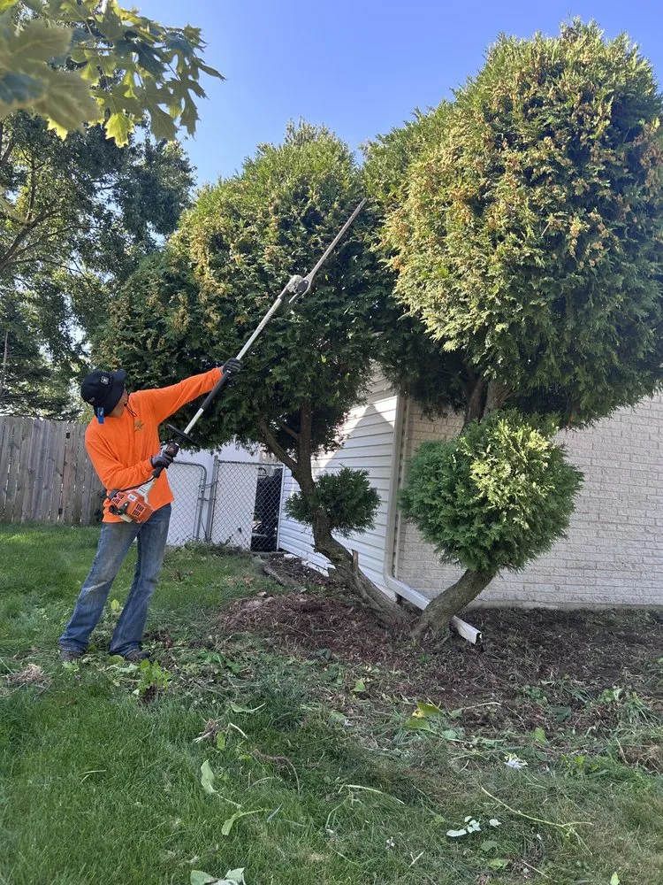 Professional yard cleanup service experts serving Northlake, IL - Hugo's Landscaping