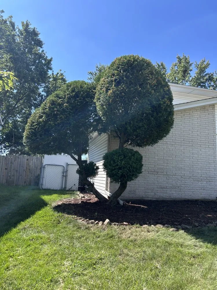 Top-rated yard cleanup service for residential properties in Northlake, IL by Hugo's Landscaping