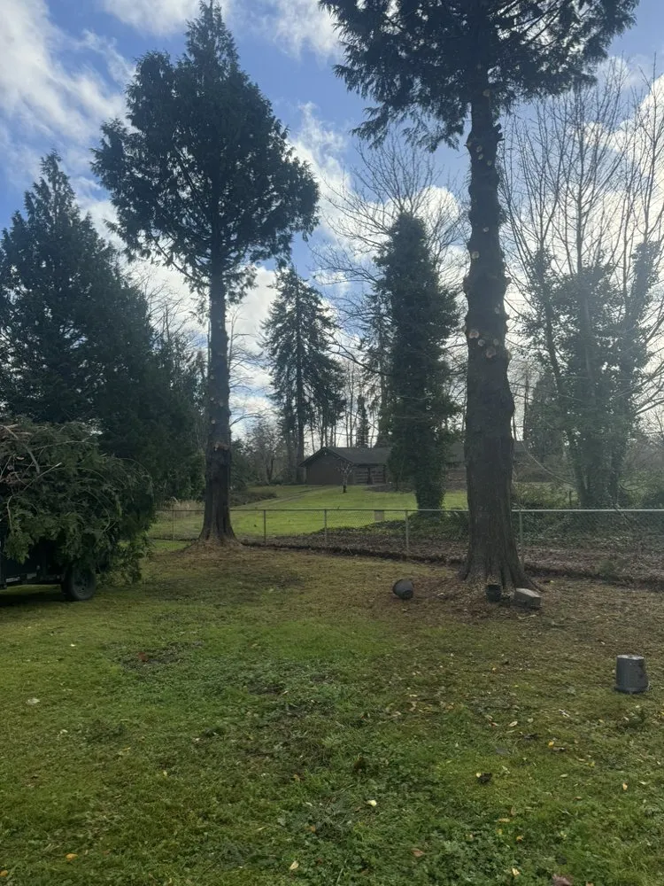 Professional yard cleanup service for beautiful yards in Aberdeen, WA by Hugo’s Landscaping Service and Maintenance