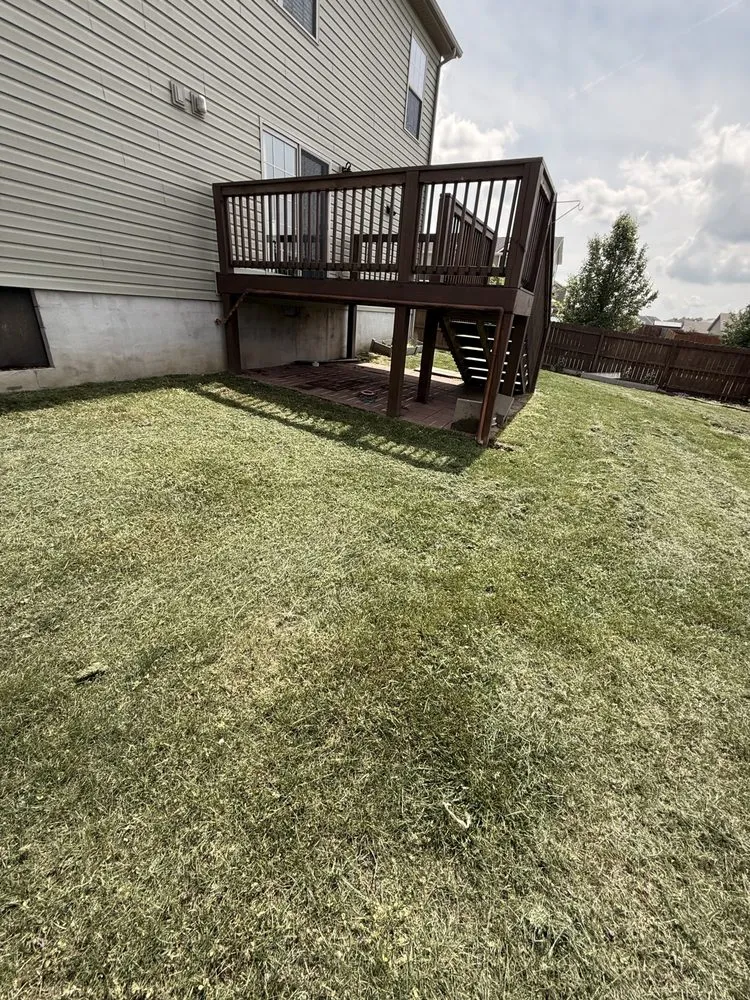 Trusted yard cleanup service in Lexington, KY - Hugos Landscaping Services