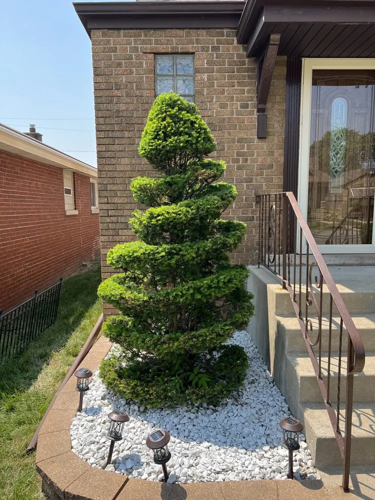 Professional yard maintenance in Blue Island, IL by Hugo's Lawn Care