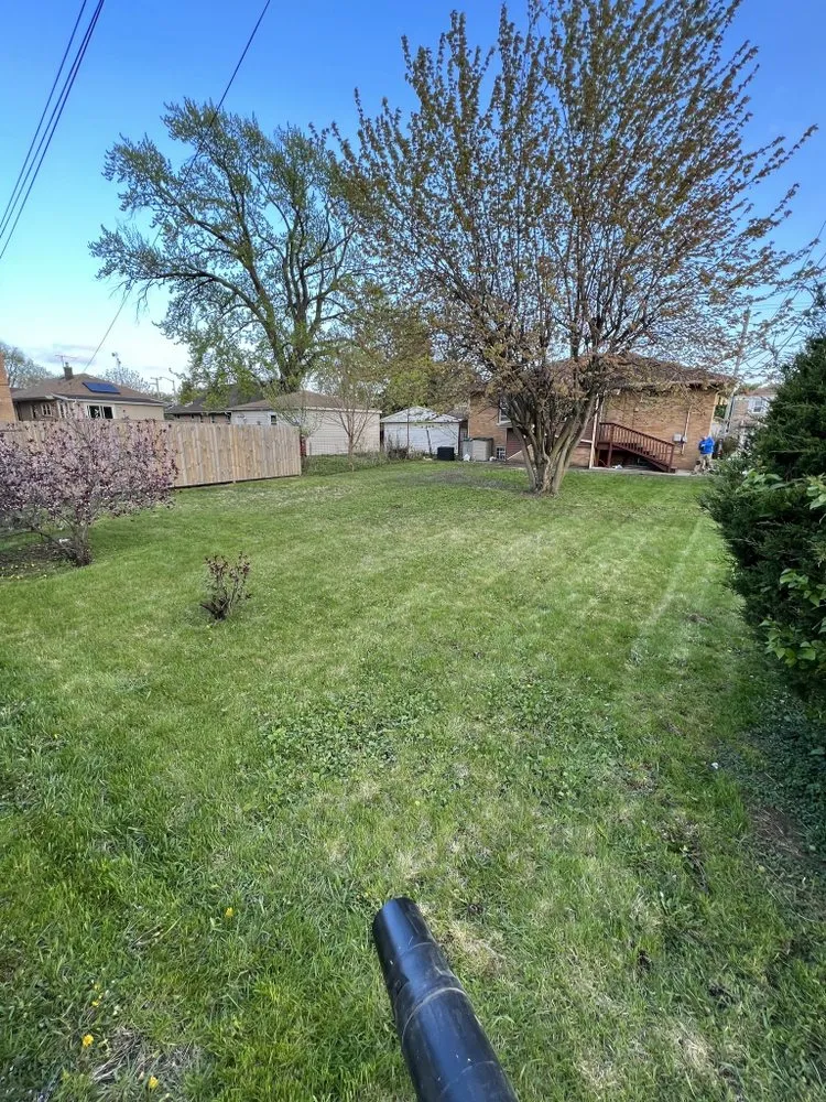 Expert lawn care service for residential properties in Blue Island, IL by Hugo's Lawn Care