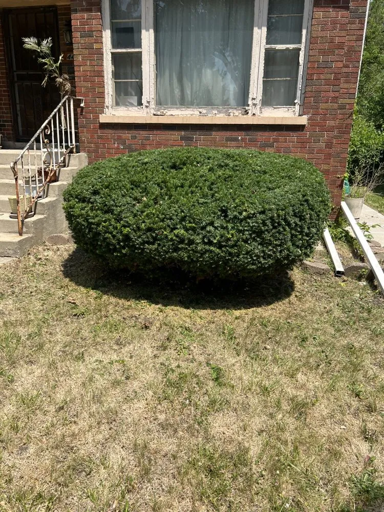 Custom landscape design experts serving Blue Island, IL - Hugo's Lawn Care