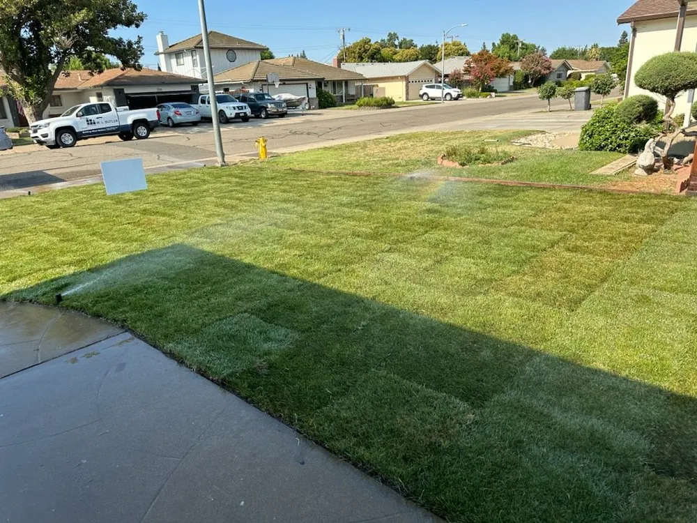 Custom lawn mowing service in Lodi, CA - Hugo's Lawncare & Design