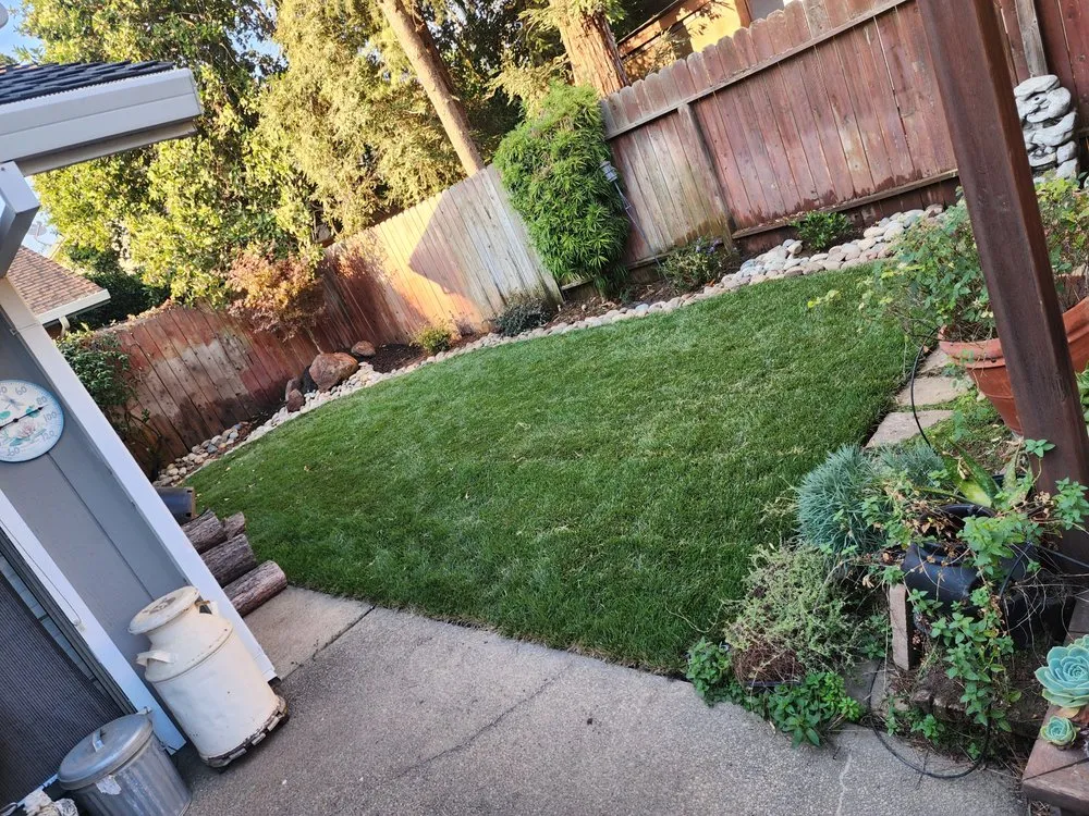 Expert garden landscaping for residential properties across Lodi, CA - Hugo's Lawncare & Design