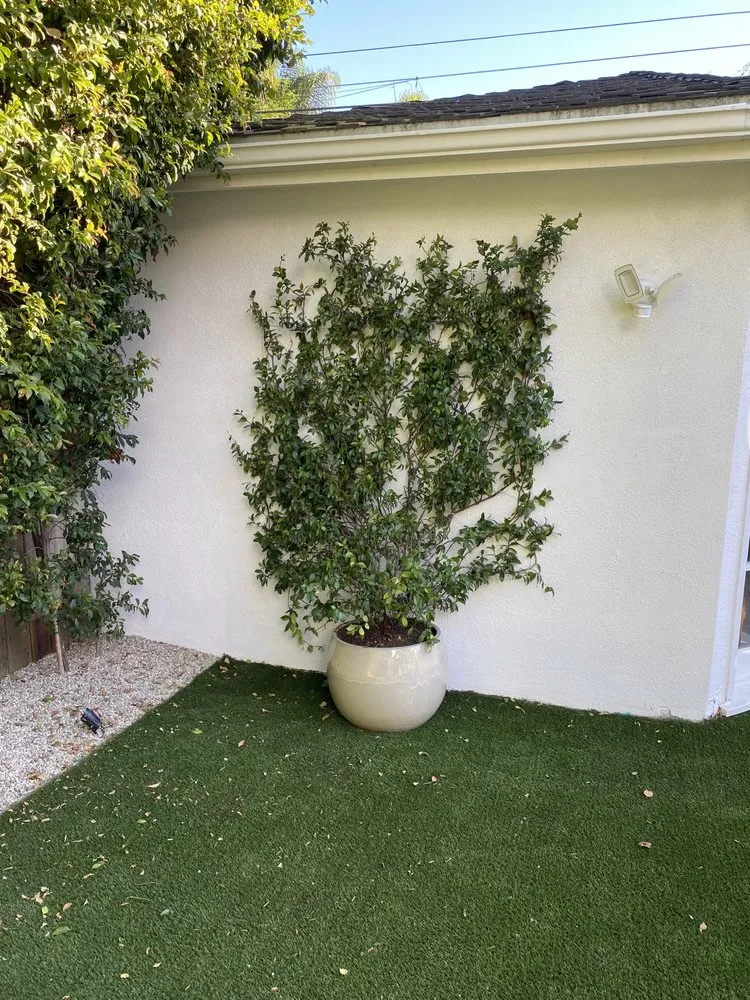 Professional yard maintenance for year-round maintenance across Inglewood, CA - Huizar’s Landscaping