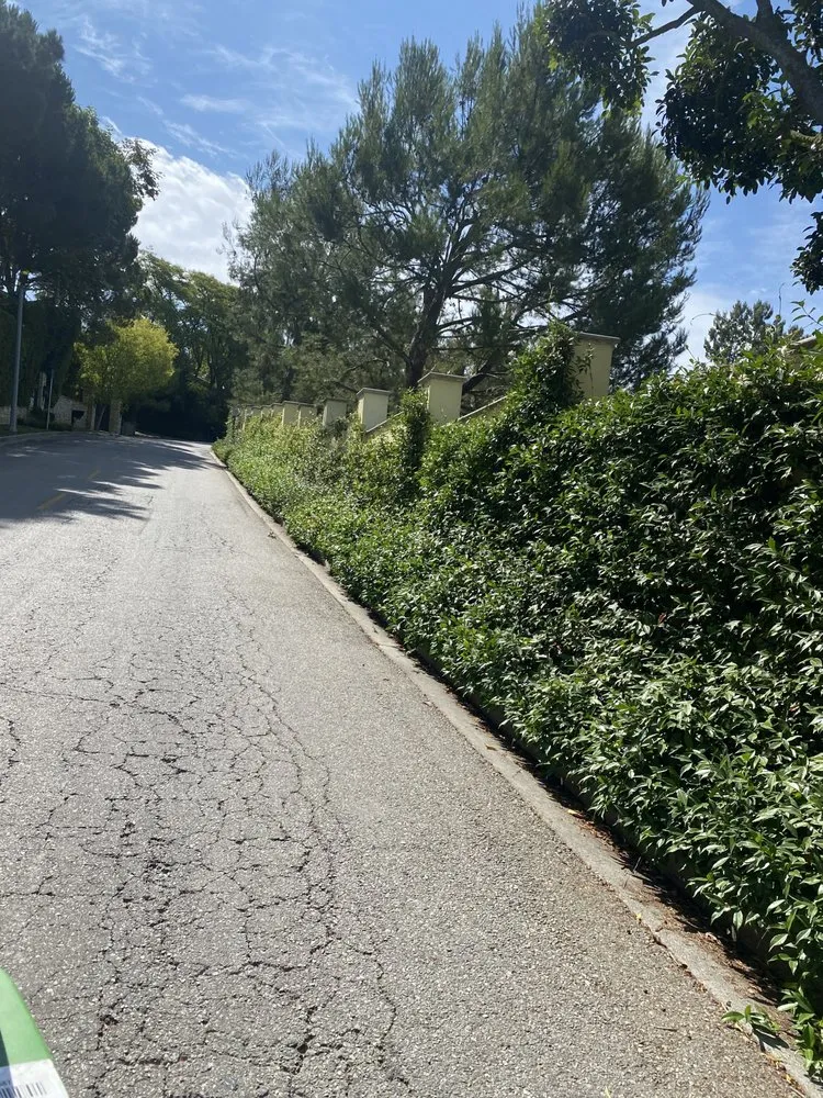 Custom landscape design in Inglewood, CA by Huizar’s Landscaping