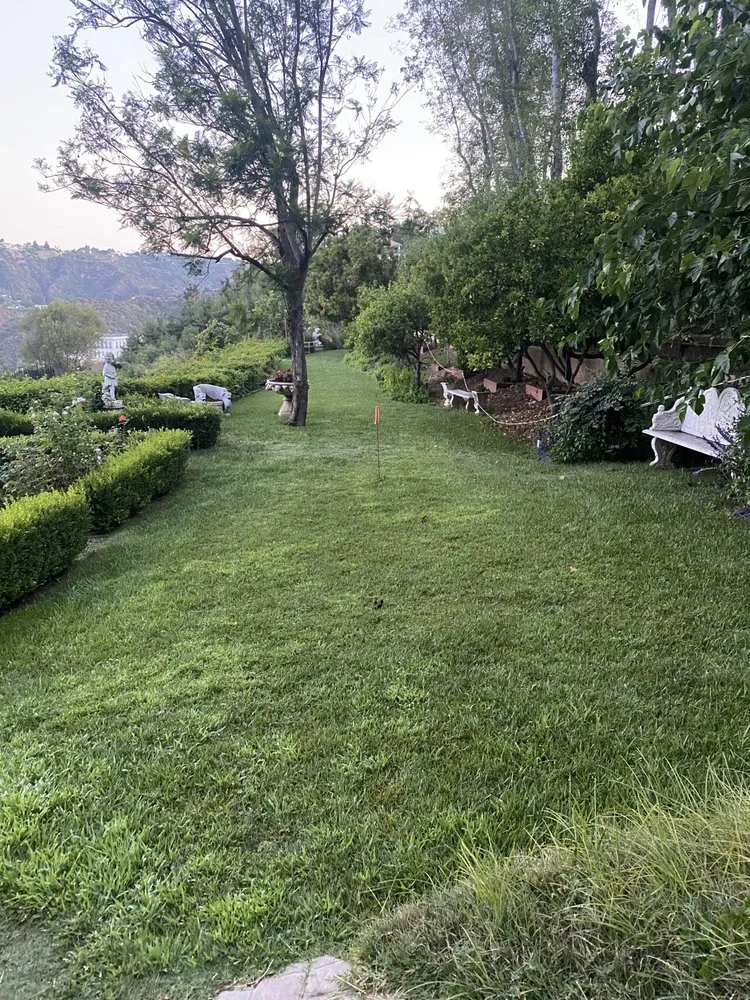 Reliable yard cleanup service experts serving Inglewood, CA - Huizar’s Landscaping