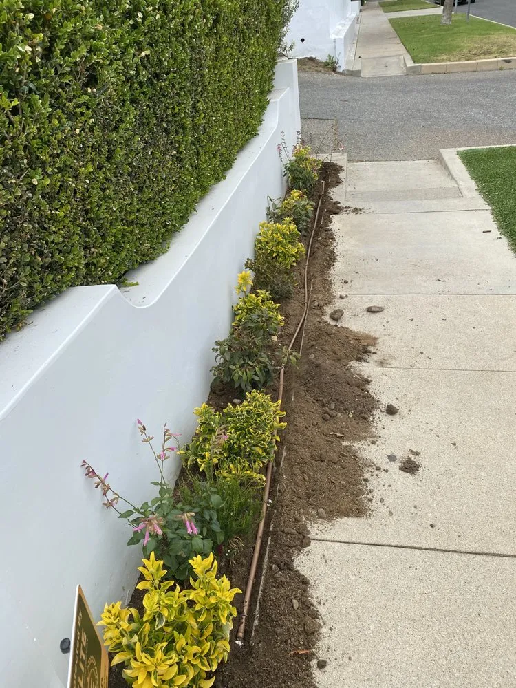 Affordable landscaping services in Inglewood, CA by Huizar’s Landscaping