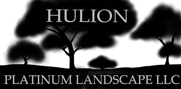 Hulion Platinum Landscape Logo