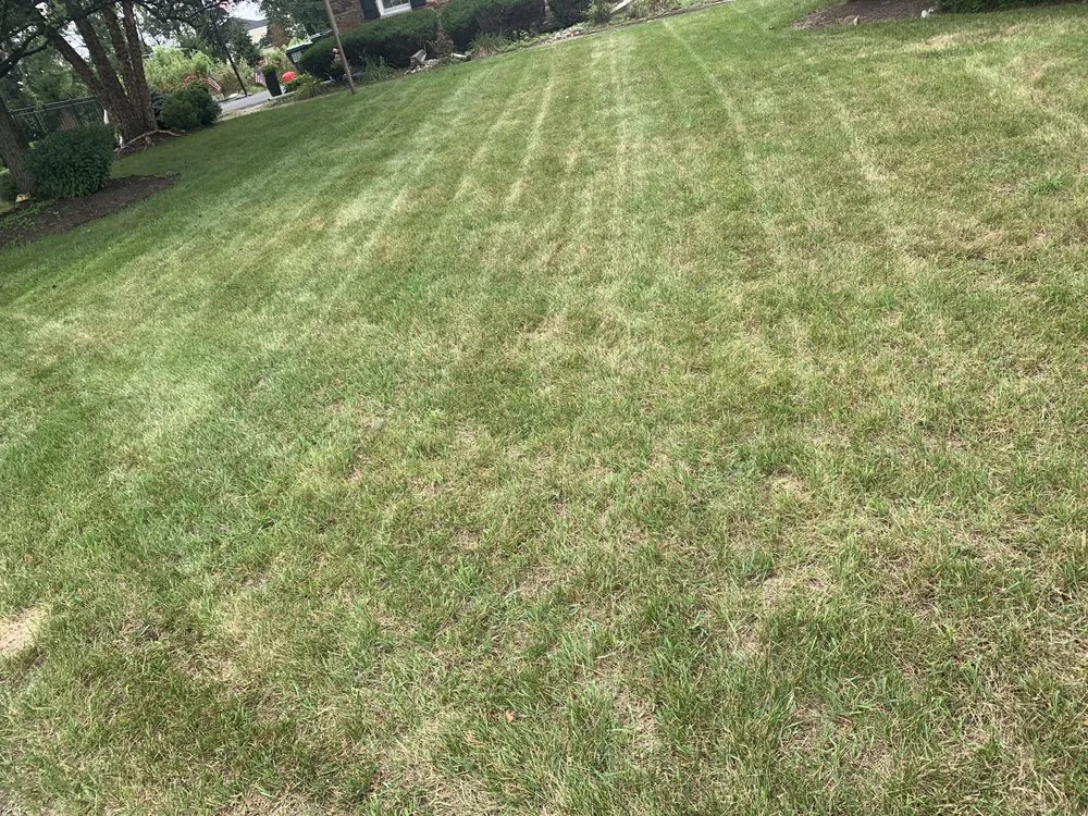 Affordable landscape design for year-round maintenance across Schenectady, NY - Hulk Landscaping