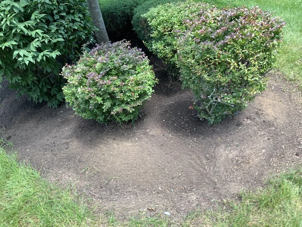 Top-rated lawn care service experts serving Schenectady, NY - Hulk Landscaping