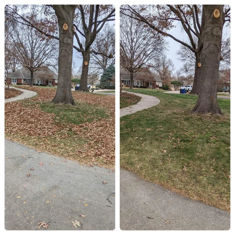 Expert lawn care service in Oak Grove, MO by Hull & Sons Land Services