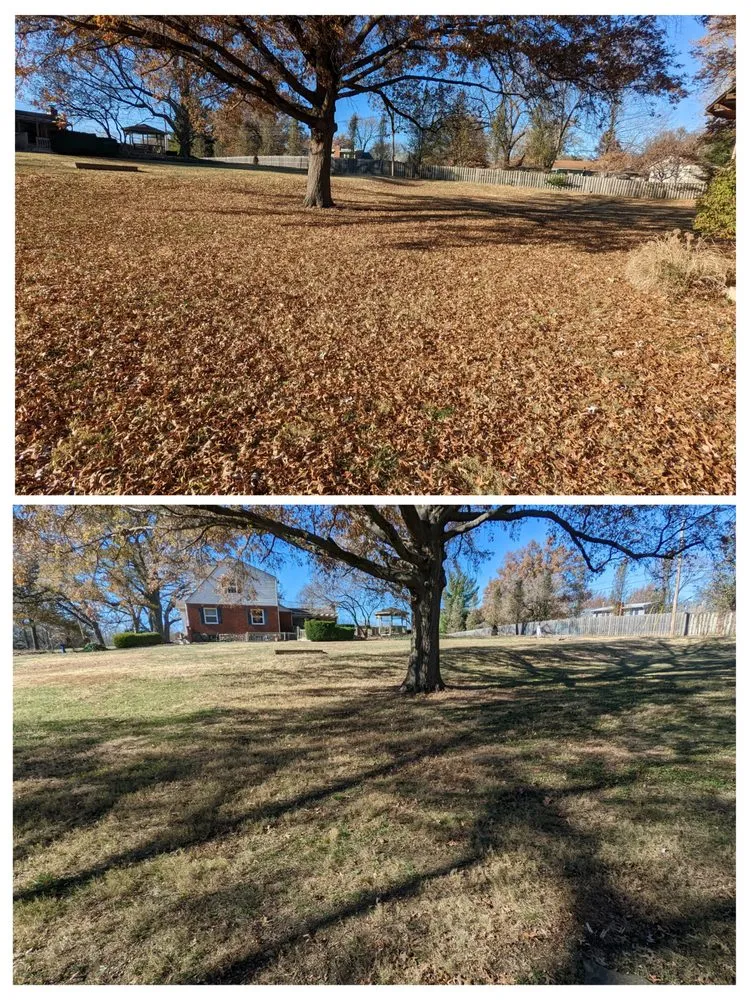 Professional yard cleanup service experts serving Oak Grove, MO - Hull & Sons Land Services