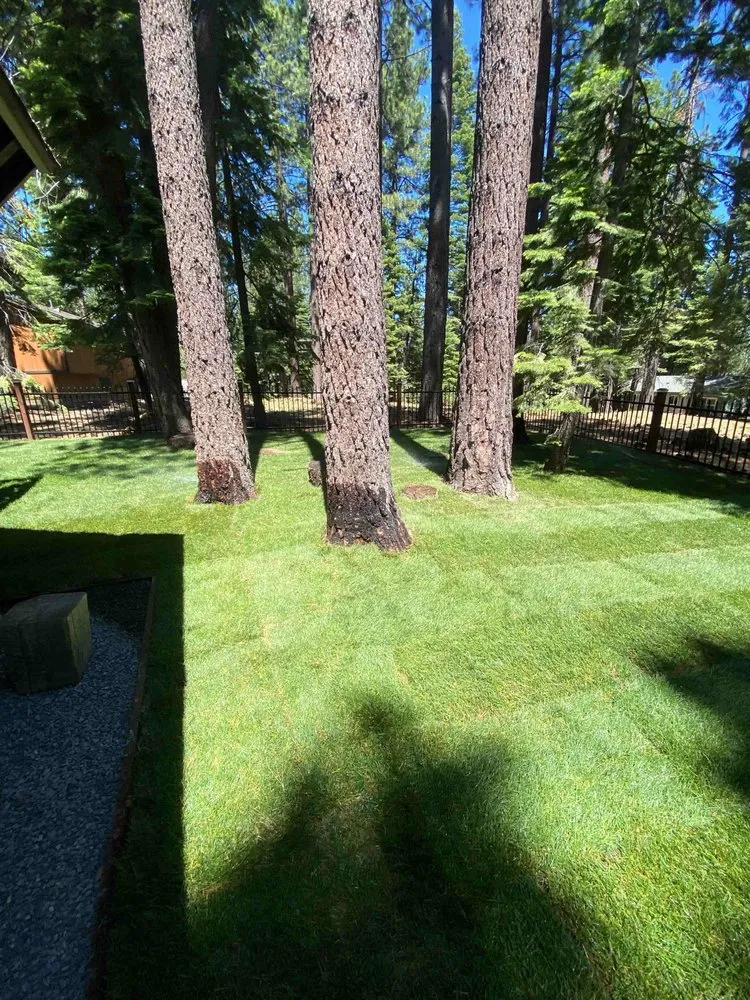 Top-rated landscaping services for beautiful yards in Stateline, NV by Hull Agronomics