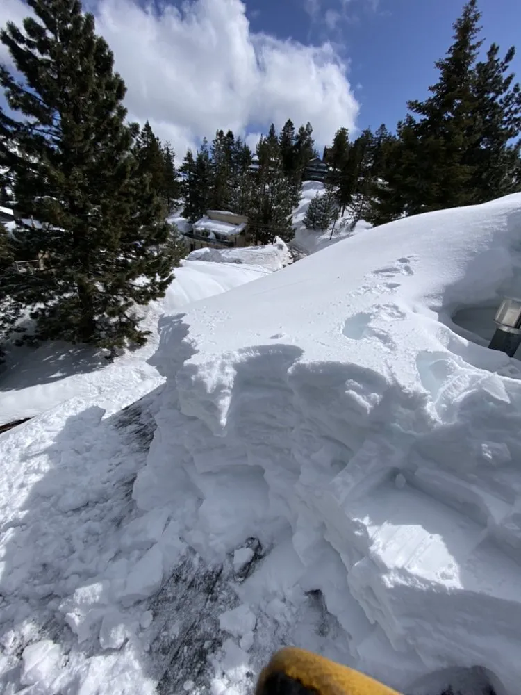 Reliable landscape installation near you in Stateline, NV by Hull Agronomics