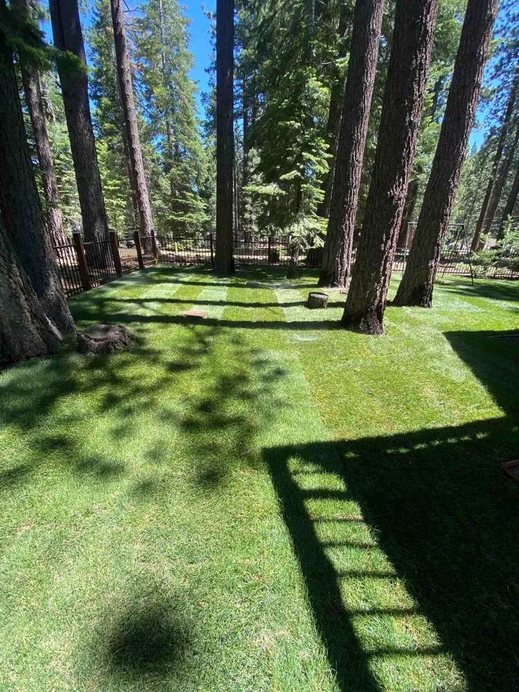 Top-rated lawn mowing service in Stateline, NV by Hull Agronomics