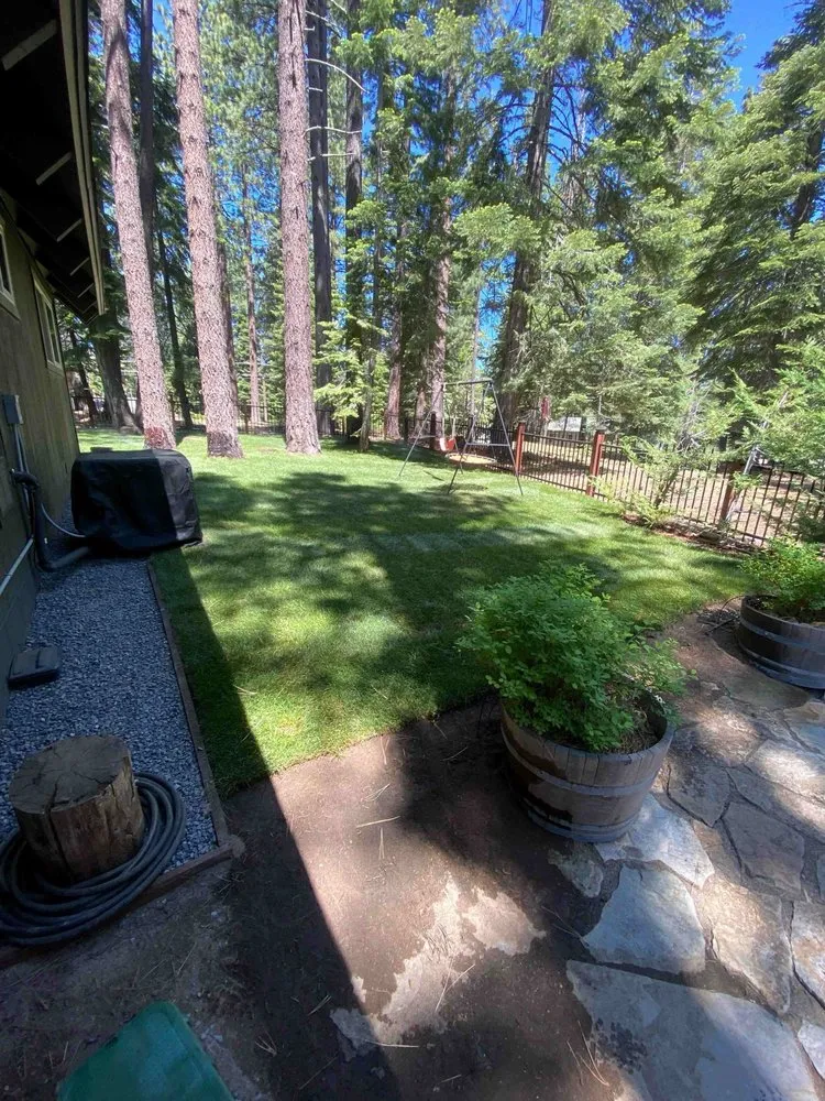 Local outdoor landscaping with custom design across Stateline, NV - Hull Agronomics