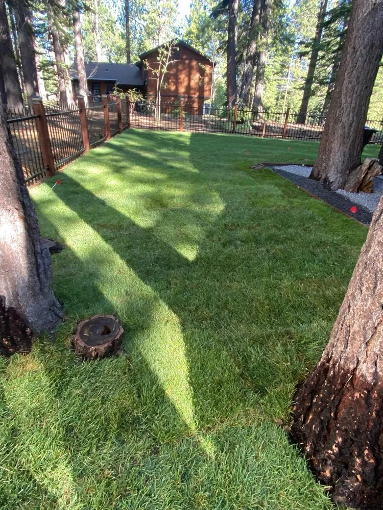 Expert residential landscaping experts serving Stateline, NV - Hull Agronomics