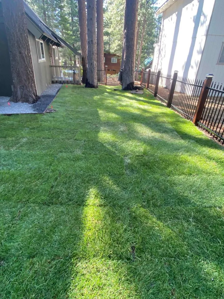 Top-rated landscape installation in Stateline, NV by Hull Agronomics