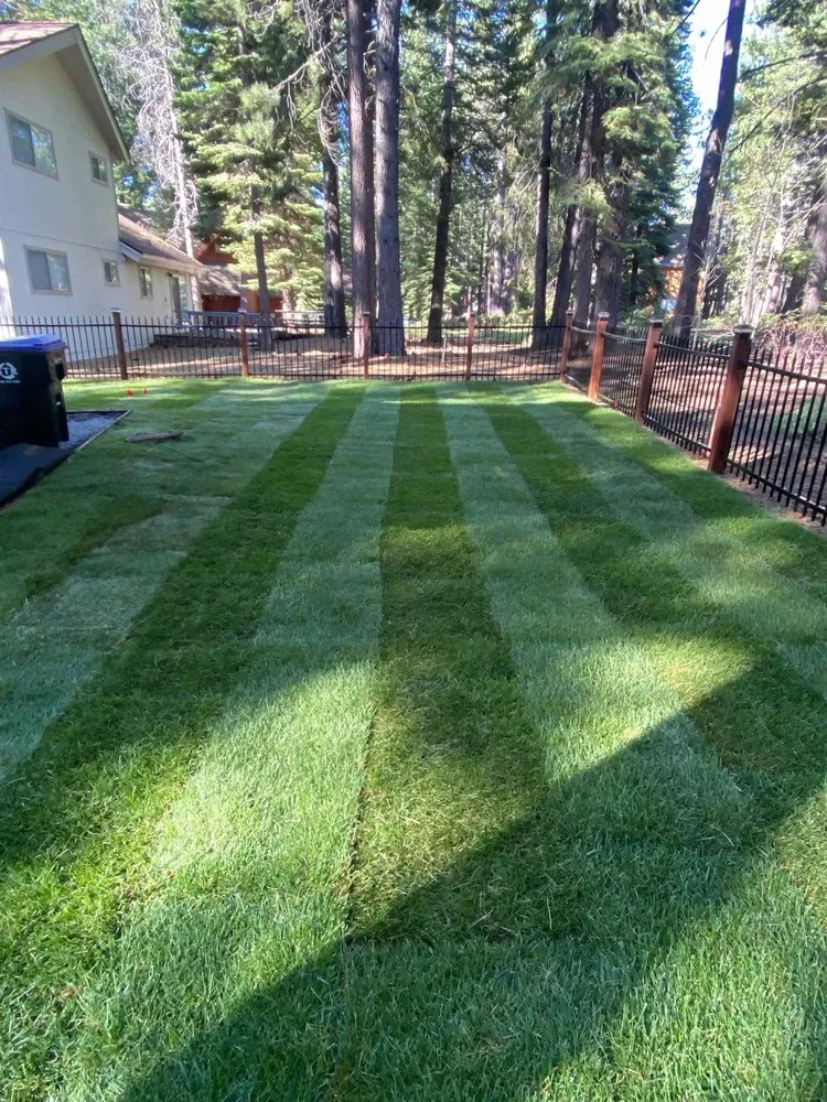 Top-rated lawn mowing service in Stateline, NV by Hull Agronomics