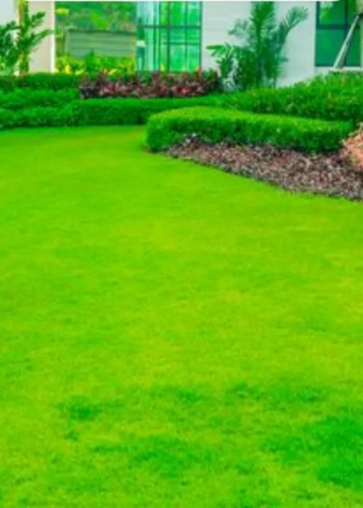 Local yard maintenance in Raytown, MO by Hullks lawncare and snow removal