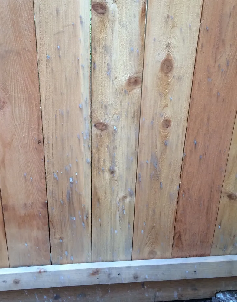 Custom landscape installation for year-round maintenance in Edmonds, WA by Human Nature Landscape Design & Consulting