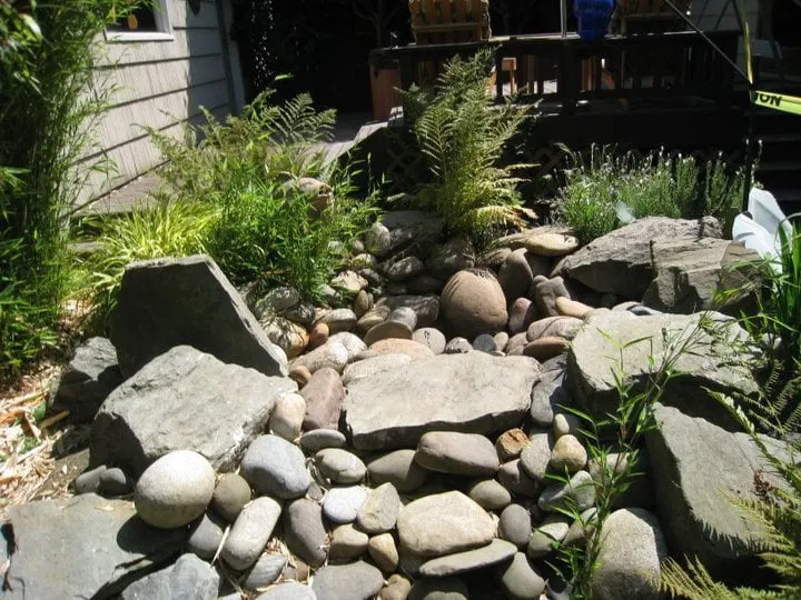 Top-rated yard maintenance for beautiful yards in Edmonds, WA by Human Nature Landscape Design & Consulting