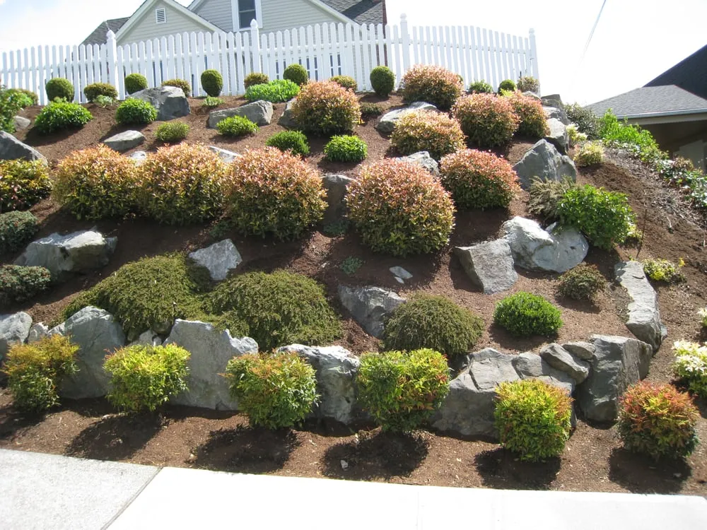 Professional landscape installation for year-round maintenance across Edmonds, WA - Human Nature Landscape Design & Consulting