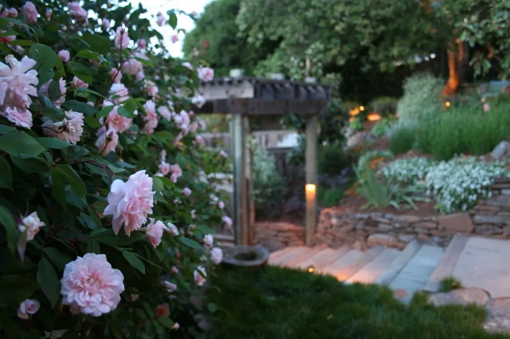 Professional yard maintenance in San Anselmo, CA - Humanature Landscape Design