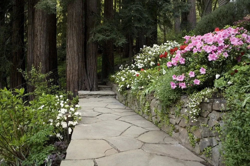Professional outdoor landscaping in San Anselmo, CA by Humanature Landscape Design