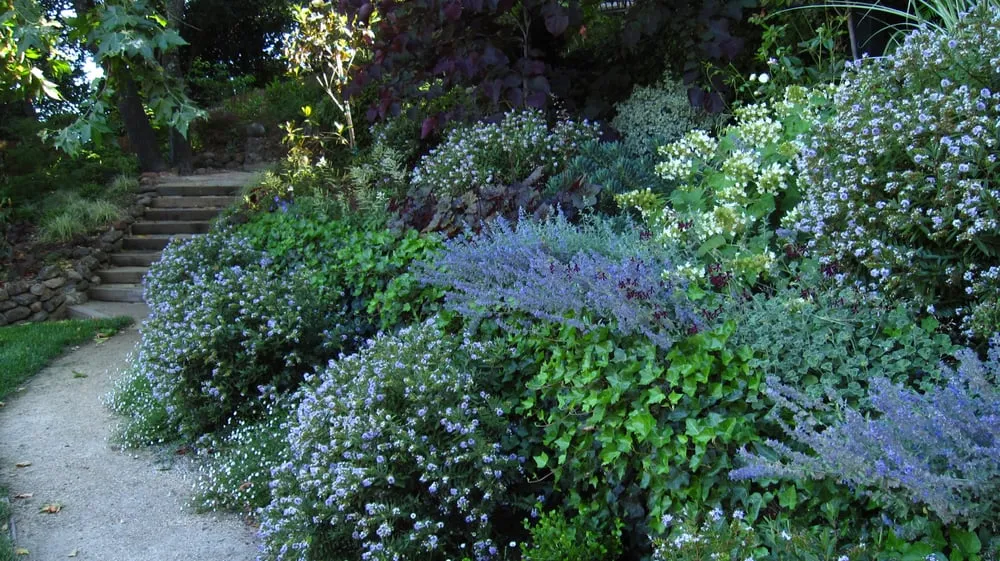 Expert landscape installation near you across San Anselmo, CA - Humanature Landscape Design