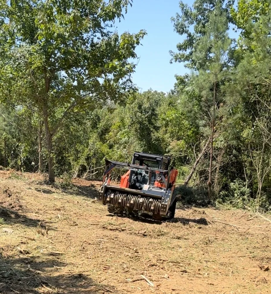 Professional landscape design in Stockbridge, GA - Humanity Soil